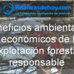 Beneficios ambientales y económicos de la explotación forestal responsable