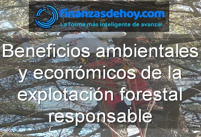 Beneficios ambientales y económicos de la explotación forestal responsable
