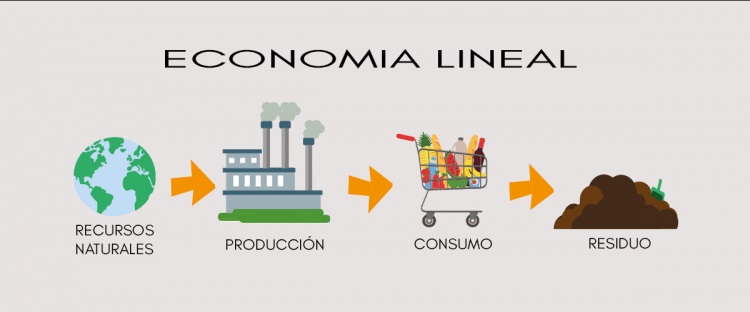 qué es la economía lineal